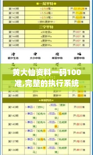 黄大仙资料一码100准,完整的执行系统评估_VR3.267