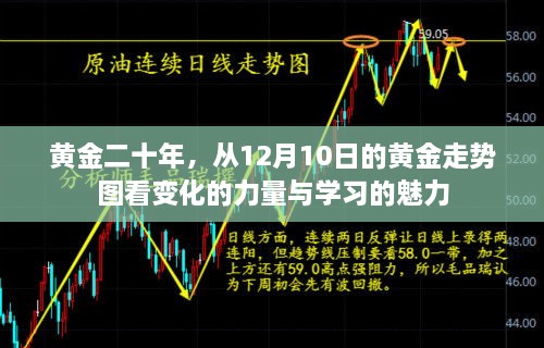 黄金二十年，从走势图洞察变化力量与学习魅力