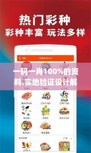 一码一肖100%的资料,实地验证设计解析_Deluxe6.192