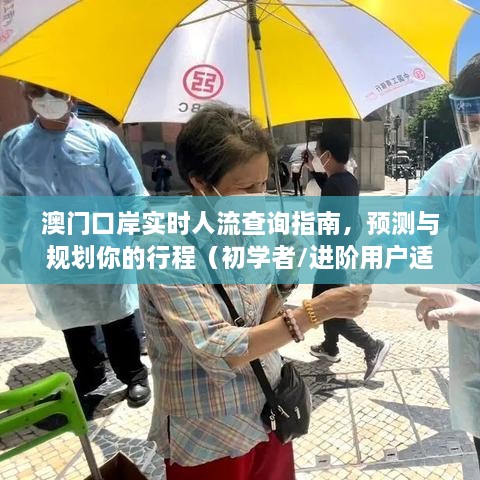 澳门口岸人流实时查询指南，行程预测与规划，适合初学者与进阶用户参考