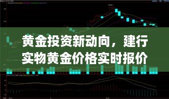 黄金投资新动向揭秘，建行实物黄金价格实时报价深度解析