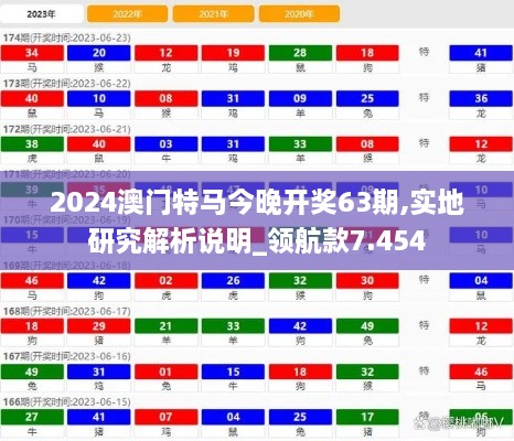 2024澳门特马今晚开奖63期,实地研究解析说明_领航款7.454