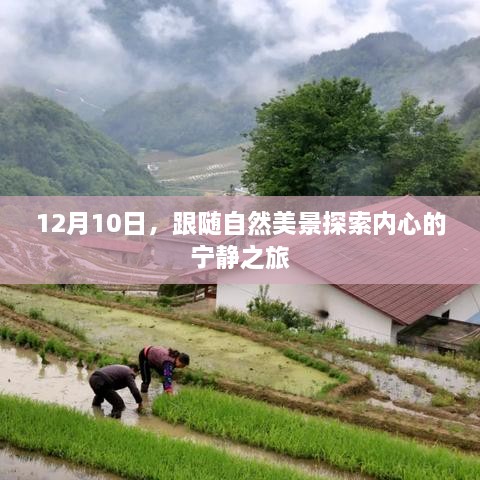 12月10日，自然美景引领内心宁静之旅