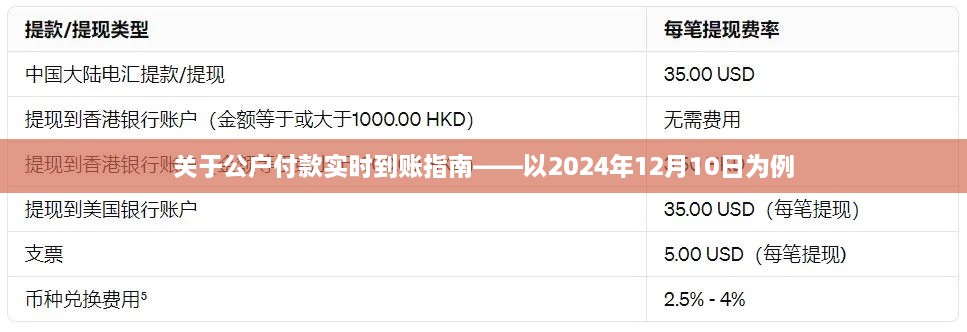 公户付款实时到账操作指南（以2024年12月10日为例）