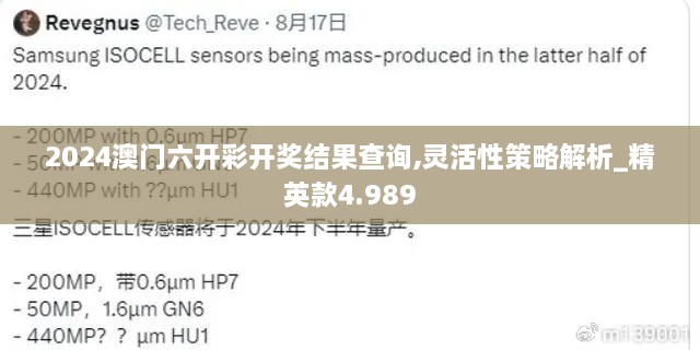 2024澳门六开彩开奖结果查询,灵活性策略解析_精英款4.989