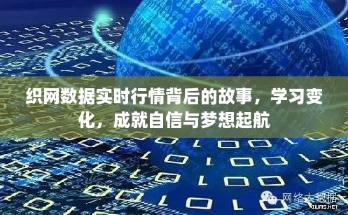 织网数据实时行情背后的故事，掌握变化，成就梦想起航之路