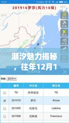 潮汐魅力揭秘，电白潮汐实时查询指南——往年12月10日及最新潮汐信息参考