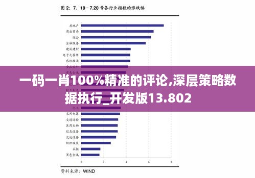 一码一肖100%精准的评论,深层策略数据执行_开发版13.802