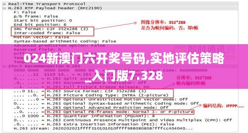 024新澳门六开奖号码,实地评估策略_入门版7.328