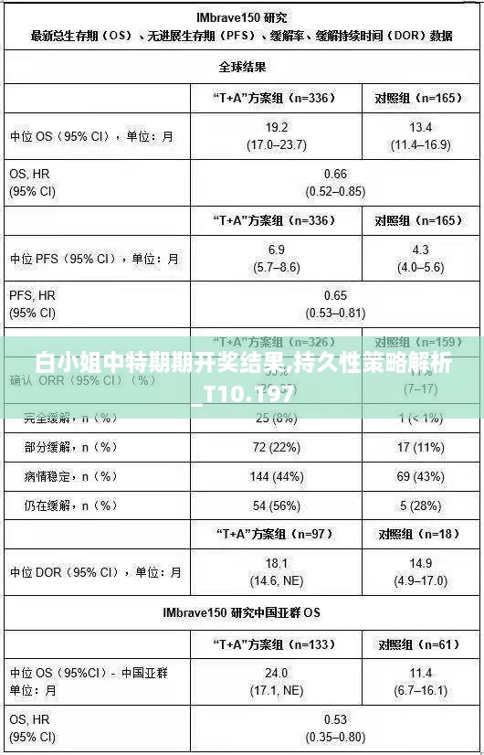 白小姐中特期期开奖结果,持久性策略解析_T10.197