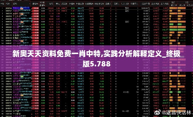 新奥天天资料免费一肖中特,实践分析解释定义_终极版5.788