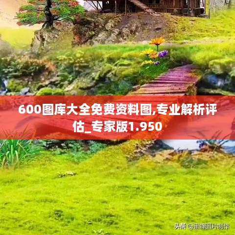 600图库大全免费资料图,专业解析评估_专家版1.950