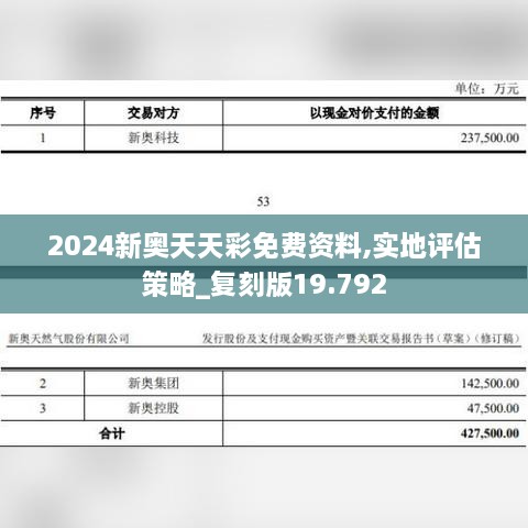 2024新奥天天彩免费资料,实地评估策略_复刻版19.792