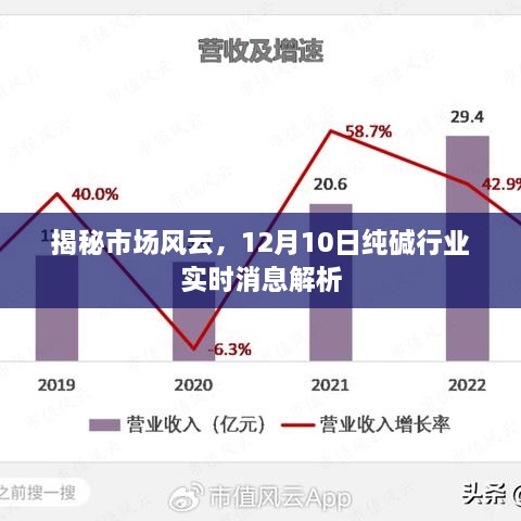 2024年12月11日 第13页