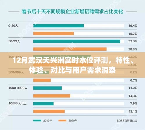 12月武汉天兴洲实时水位评测，特性、体验、对比及用户需求深度洞察