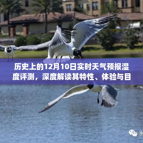 历史上的12月10日实时天气预报湿度深度解读，特性、体验与目标用户群体探索