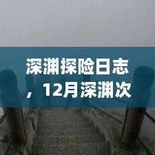 2024年12月11日 第8页