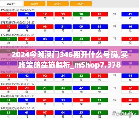 2024今晚澳门346期开什么号码,实践策略实施解析_mShop7.378