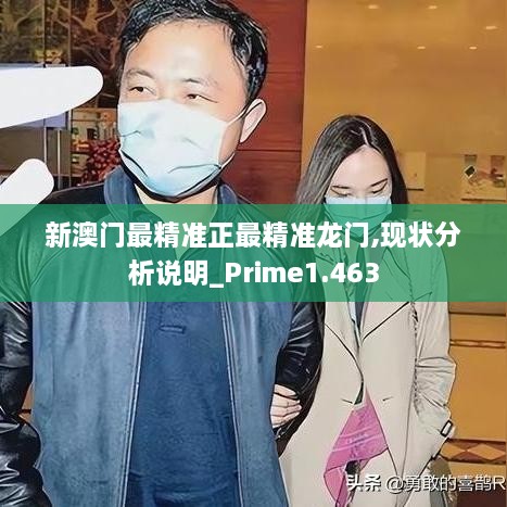 新澳门最精准正最精准龙门,现状分析说明_Prime1.463