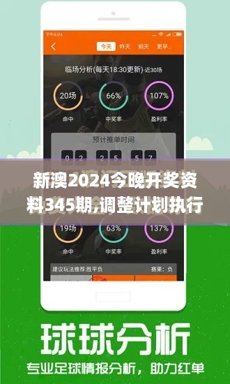 新澳2024今晚开奖资料345期,调整计划执行细节_WP5.338