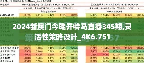 2024新澳门今晚开特马直播345期,灵活性策略设计_4K6.751