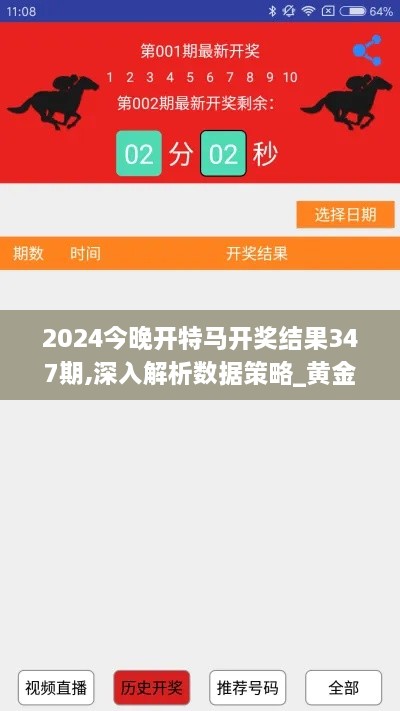 2024今晚开特马开奖结果347期,深入解析数据策略_黄金版19.976