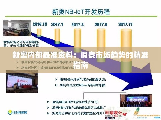 新奥内部最准资料：洞察市场趋势的精准指南