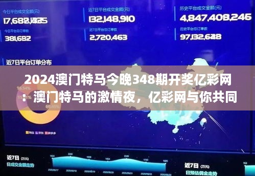 2024澳门特马今晚348期开奖亿彩网：澳门特马的激情夜，亿彩网与你共同感受。