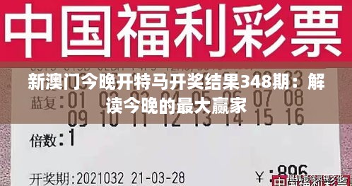 新澳门今晚开特马开奖结果348期：解读今晚的最大赢家