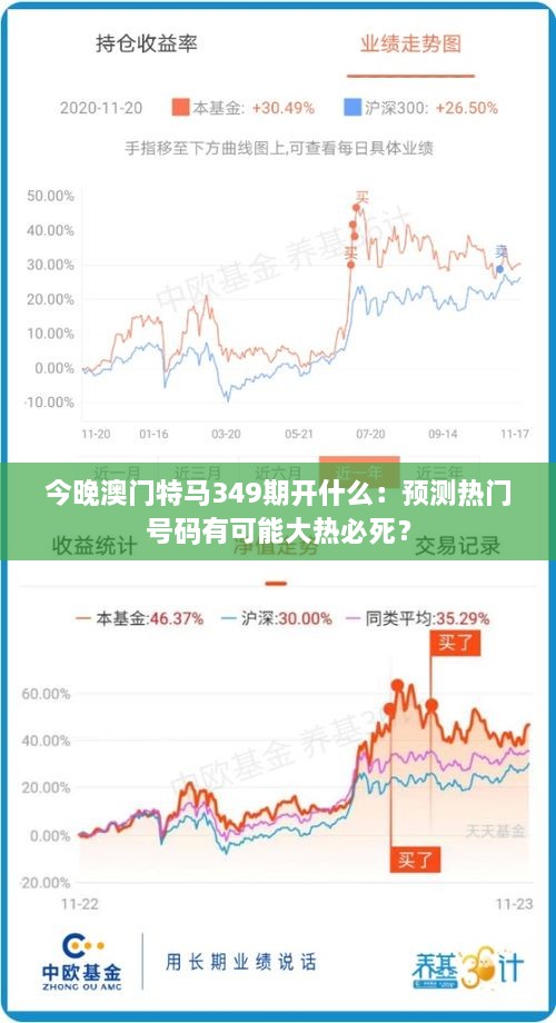 2024年12月14日 第31页