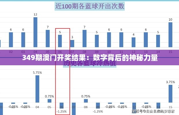 349期澳门开奖结果：数字背后的神秘力量