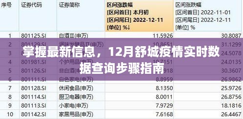 12月舒城疫情实时数据查询步骤指南，掌握最新信息