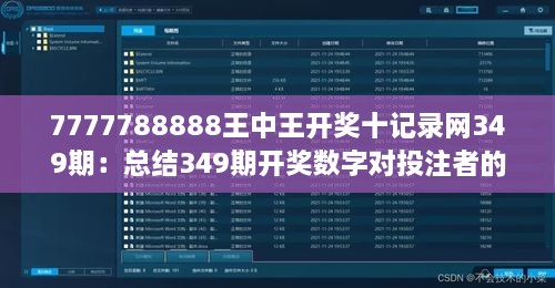 7777788888王中王开奖十记录网349期：总结349期开奖数字对投注者的影响