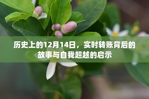 实时转账背后的故事与启示，历史视角下的自我超越之路（12月14日）