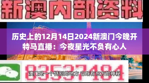 历史上的12月14日2024新澳门今晚开特马直播：今夜星光不负有心人