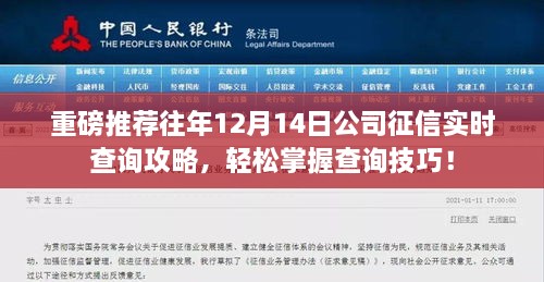 重磅推荐，历年12月14日公司征信实时查询攻略，掌握查询技巧轻松无忧！