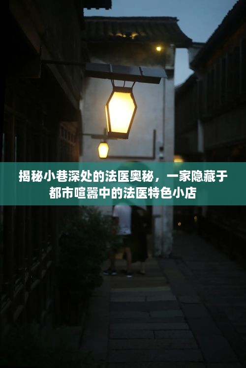 都市角落的法医探秘，隐秘小巷的法医特色小店揭秘