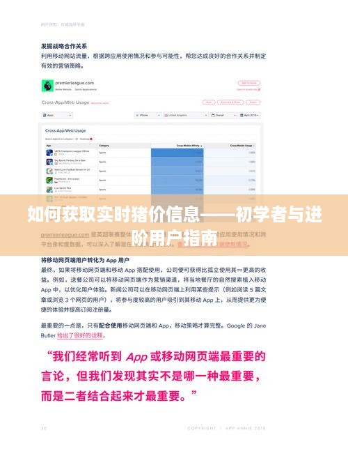 初学者与进阶用户指南，获取实时猪价信息的全面指南