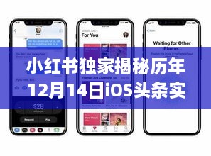 小红书独家揭秘，iOS头条实时活动按钮背后的故事（历年12月14日深度解析）