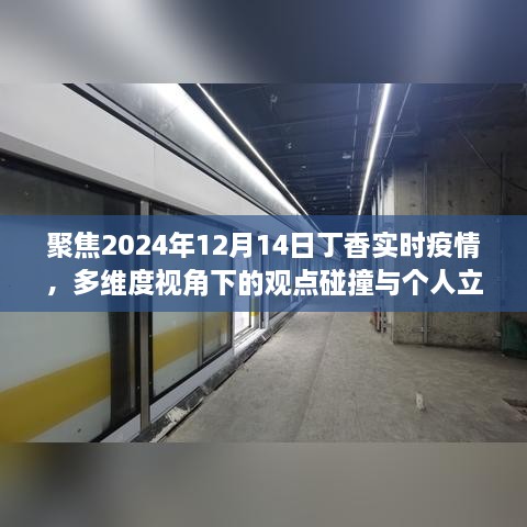 多维度视角下的观点碰撞与个人立场，聚焦丁香实时疫情下的未来展望（2024年12月14日）