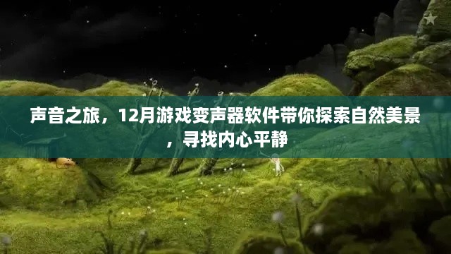 声音之旅，游戏变声器软件带你探索自然美景，寻找心灵宁静的十二月之旅