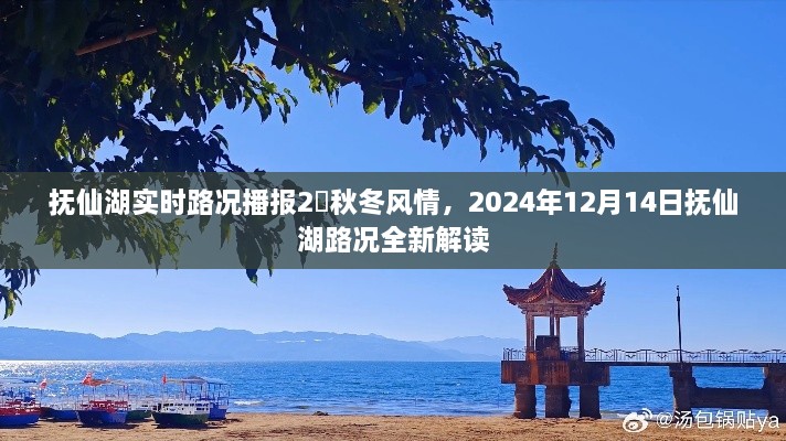 抚仙湖实时路况播报，秋冬风情与全新解读（2024年12月14日）