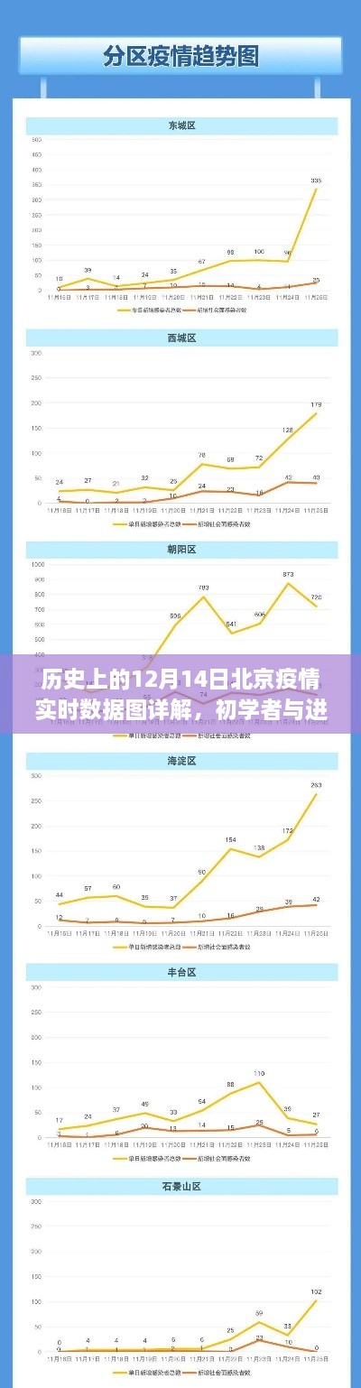 历史上的12月14日北京疫情实时数据图解析，初学者与进阶用户指南