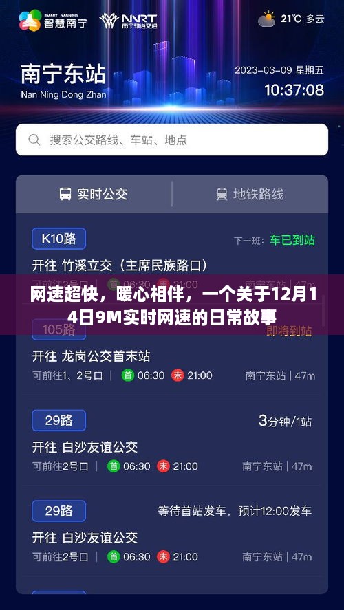 12月14日实时网速飞跃，暖心相伴的极速日常故事