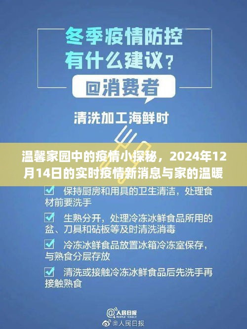 温馨家园疫情小探秘，实时追踪疫情新消息与家的温暖时光（2024年12月14日）