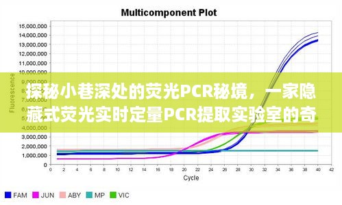 探秘隐藏式荧光PCR实验室，实时定量PCR提取的奇妙之旅