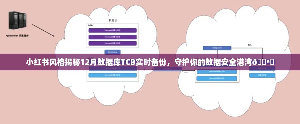 小红书风格下的数据安全守护，揭秘12月数据库TCB实时备份秘籍✨