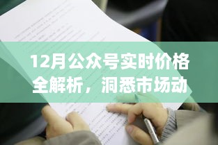 12月公众号价格动态全解析，洞悉市场趋势，轻松掌握最新资讯