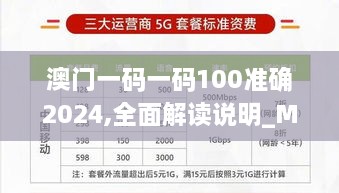 澳门一码一码100准确2024,全面解读说明_Max3.936