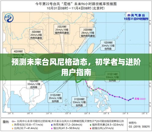 台风尼格动态预测，初学者与进阶用户指南